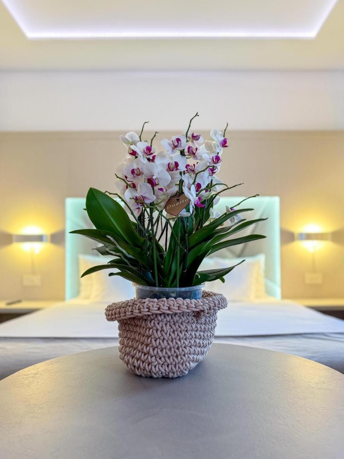 Hotel Eden Garden Spa Câmpulung Moldovenesc Dış mekan fotoğraf
